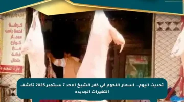 تحديث اليوم.. أسعار اللحوم في كفر الشيخ الأحد 7 سبتمبر 2025 تكشف التغيرات الجديدة